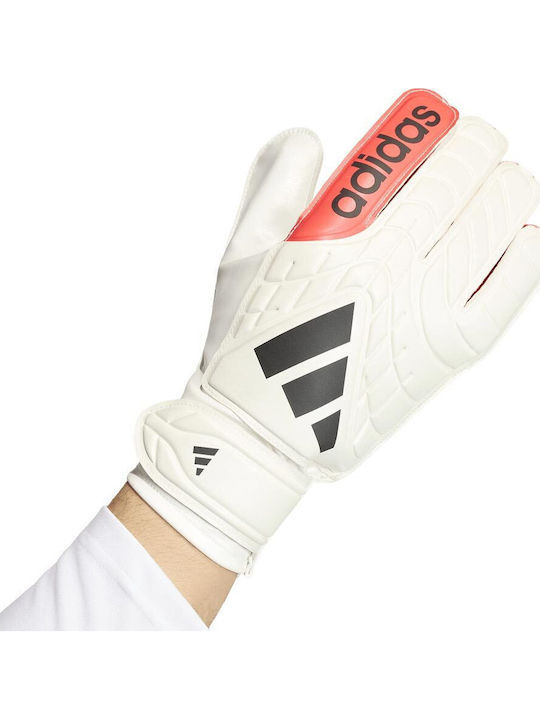 adidas Copa Adults Goalkeeper Gloves White