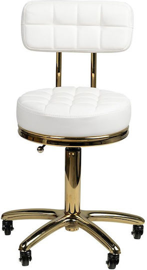 Salon Tech Wheeled Stool with Backrest Gold