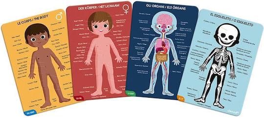 Janod Cards Joc Educațional