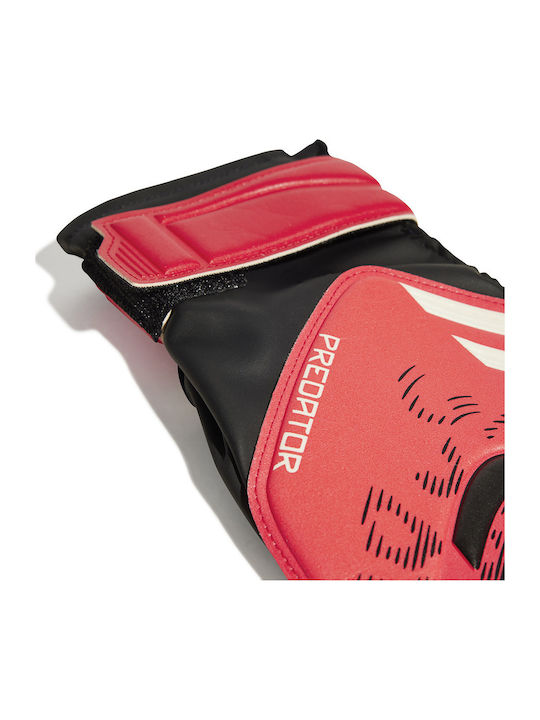 adidas Performance Pred Adults Goalkeeper Gloves Black