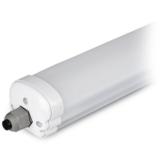 Led Waterproof IP65 Fluorescent Type Lighting Batten 150cm V-tac Cree Vhip Led 48w 6430lm 4000k – 2162876