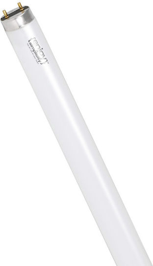 El150009 El150009 T8 3 Phosphor 18W G13 2700K 1350lm 604mm Fluorescent Lamp Pack of 25 Pieces
