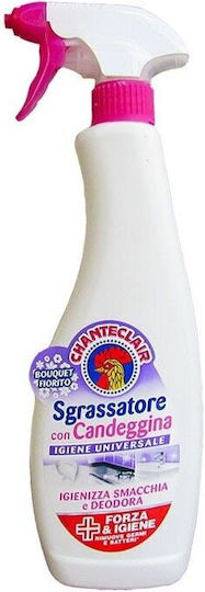Chante Clair Καθαριστικό Φούρνου 625ml