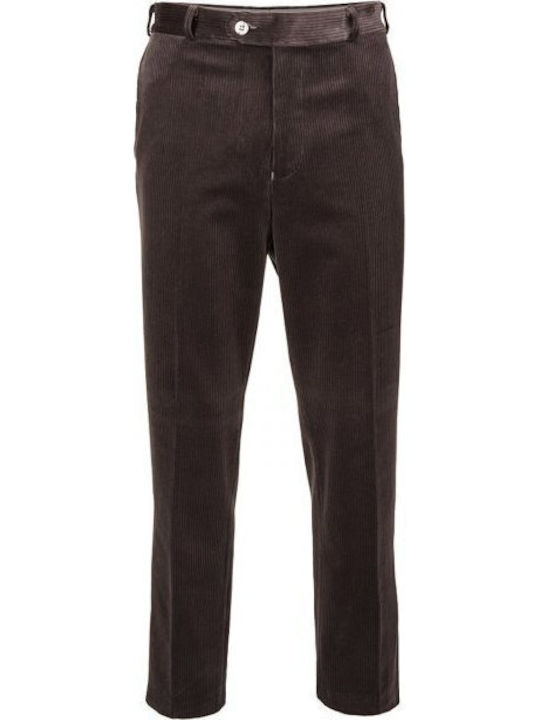 Trousers in Regular Fit Brown