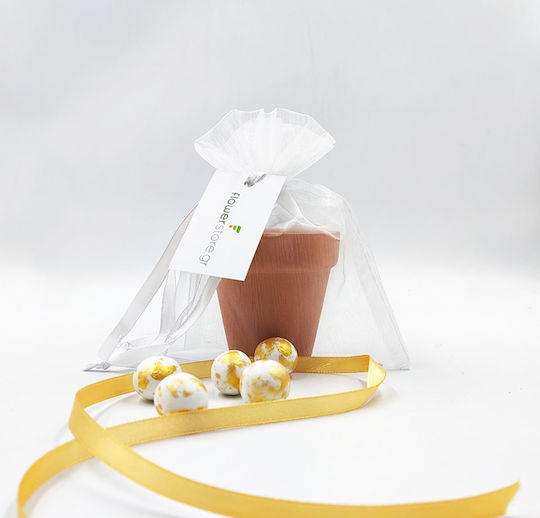Hochzeitsgeschenke Topf & Samen Entelvay