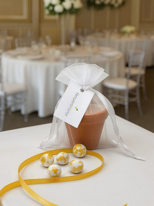 Wedding Favor Flowerpot & Edelweiss Seeds