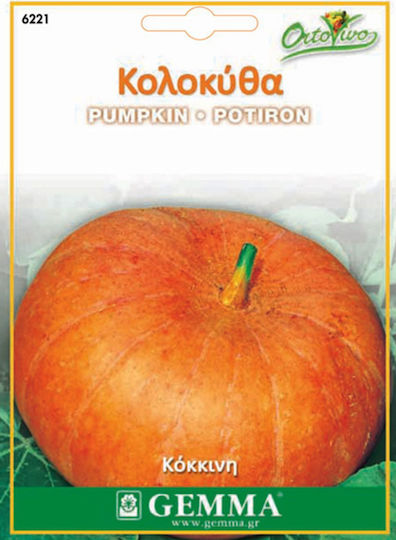 Семена Тикваς Тиквичка Тиква 3гр