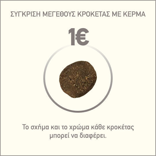 Orijen Regional Red 11.4kg Ξηρά Τροφή Σκύλων χωρίς Σιτηρά με Βίσωνα, Αρνί και Μοσχάρι