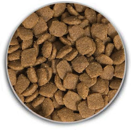 Acana Adult Large Breed Recipe 17kg Ξηρά Τροφή χωρίς Σιτηρά για Ενήλικους Σκύλους Μεγαλόσωμων Φυλών με Κοτόπουλο και Ψάρια