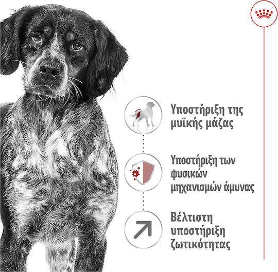 Royal Canin Medium Adult 7+ 15kg Dry Food for Senior Medium Breed Dogs with Poultry and Rice