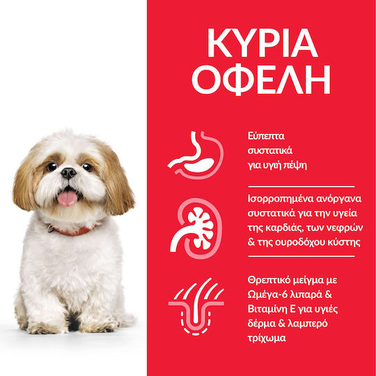 Hill's Science Plan Mature Small & Mini 3kg Trockenfutter für ältere Hunde kleiner Rassen mit Huhn und Türkei