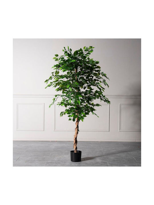 Supergreens UV Изкуствено Дърво Ficus Lyrata Зелено 180 см