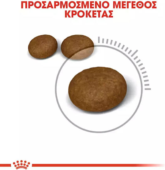 Royal Canin Hair & Skin Care Dry Food for Adult Cats with Poultry 0.4kg