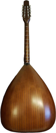 Lute