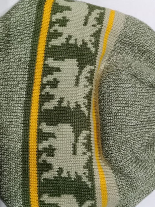 Kids Beanie Knitted Green