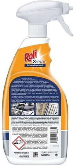 Roli Επαγγελματικό Καθαριστικό Spray Γενικής Χρήσης 600ml