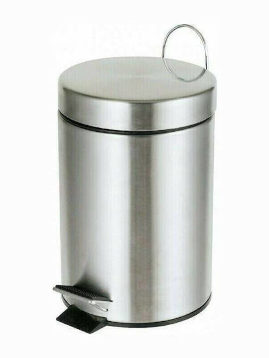 Delta Cleaning Metalic Perie de toaletă 5lt Argintiu