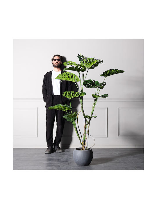 Supergreens Künstlicher Monstera Baum Grün 150 cm