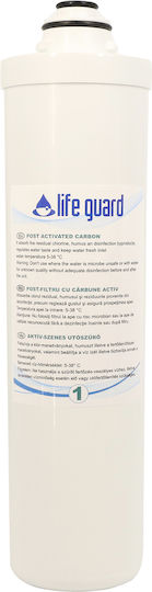 Replacement Filter Post Activated Carbon Filter
