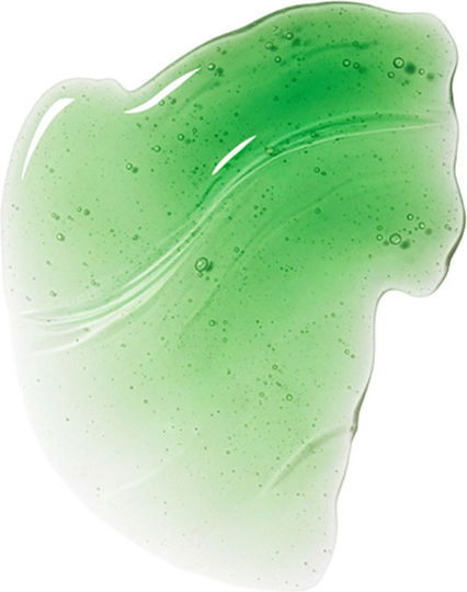 Tecnoskin Lip Balm Μέντα 5.5ml