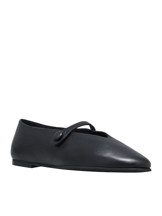 Poeve