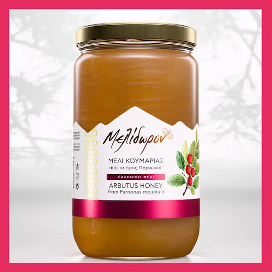 Μελίδωρον Μέλι Κουμαριάς 950gr