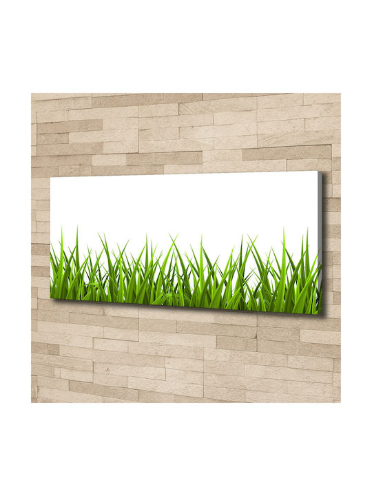 Panou De Perete Pânză Potrivit Pentru Decor Permanent Iarbă 125x50 Cm