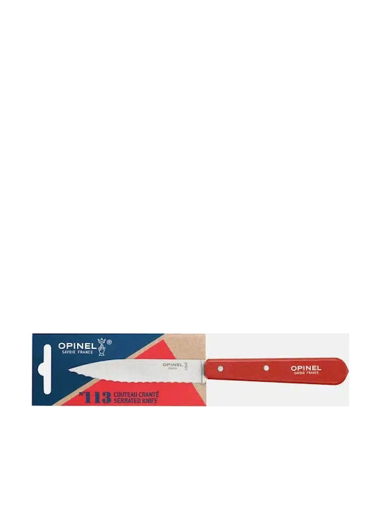 Opinel Knife General Use from Stainless Steel 10cm