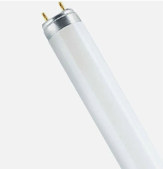 Ledvance Leuchtstofflampe für Fassung G13 mit Form T8 30W