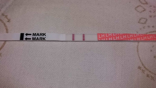 10 Ovulation Test Strips & 3 Pregnancy Test Strips