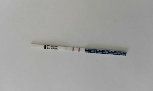 30 Ovulation Test Strips & 10 Pregnancy Test Strips
