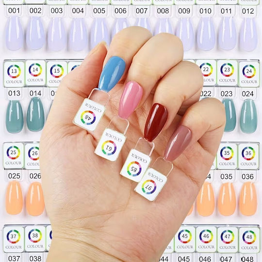 Magnetic Color Chart Book for 120 Nail Polish Slots & Magnetic Gel Clear Almond Tips