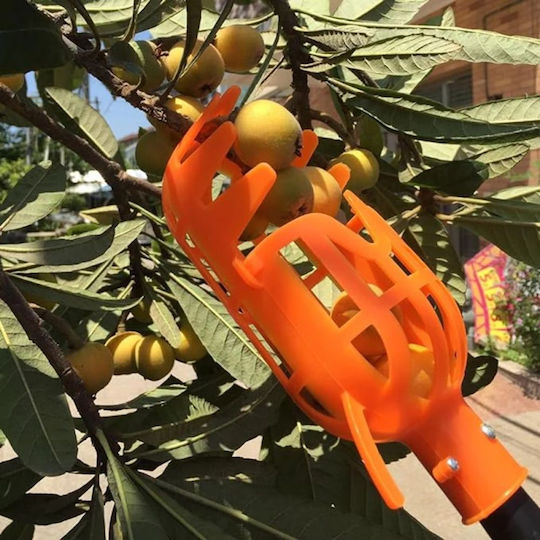 Fruit Collector Harvest Collector Plastic Fruit Picking Tool Orange
