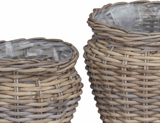 vidaXL Blumentopf Rattan Gray
