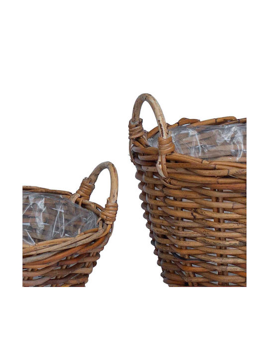 vidaXL Κασπώ Rattan Καφέ 2τμχ