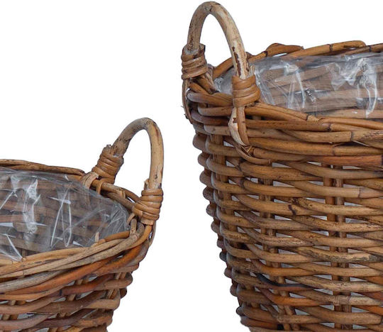 vidaXL Κασπώ Rattan Καφέ 2τμχ