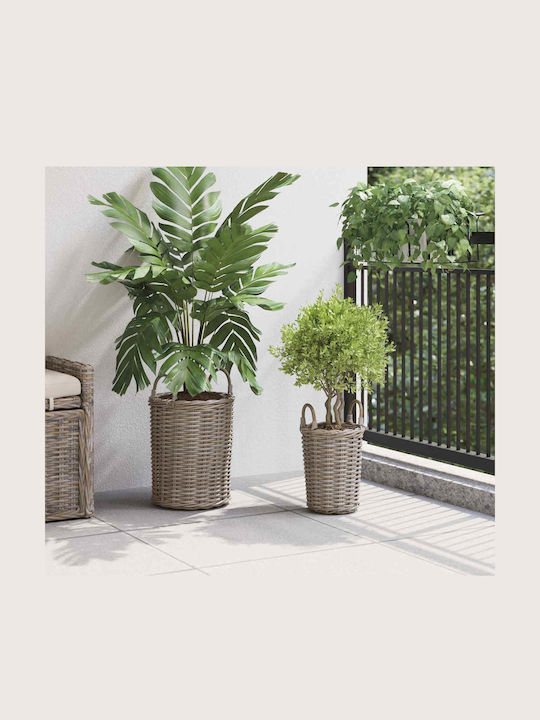 vidaXL Κασπώ Rattan Γκρι 2τμχ