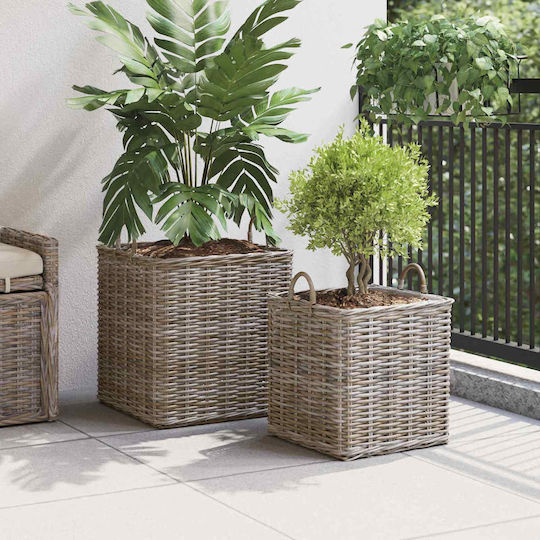 vidaXL Κασπώ Rattan Γκρι 2τμχ