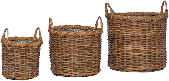 vidaXL Planter Rattan Brown