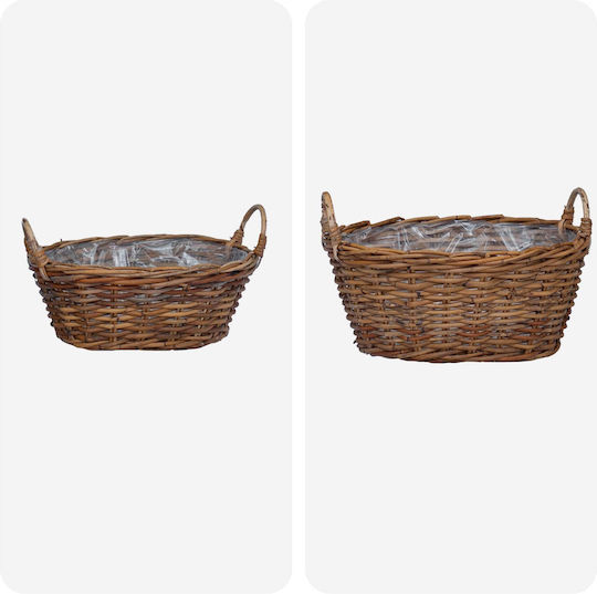 vidaXL Κασπώ Rattan Καφέ 2τμχ