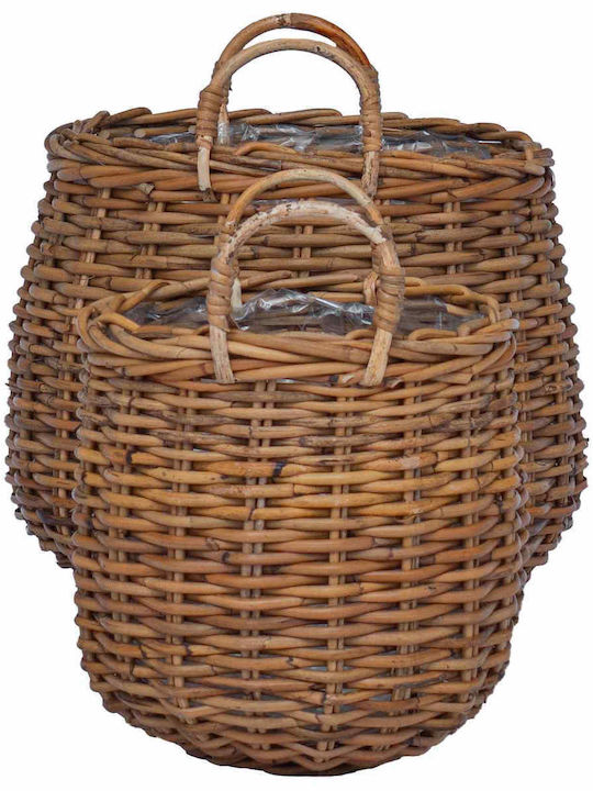 vidaXL Κασπώ Rattan Καφέ 2τμχ