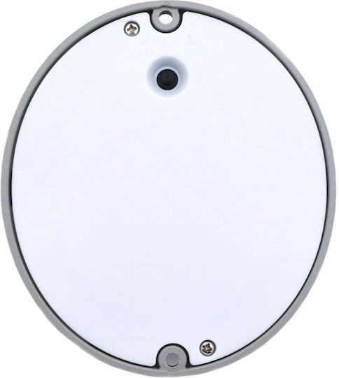 Solar Light Floor 0.7W 10lm Cold White 6000K with Motion Sensor and Photocell IP65