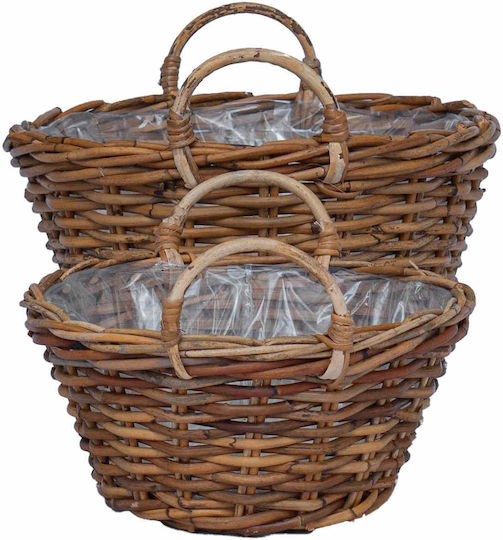 vidaXL Κασπώ Rattan Καφέ 2τμχ
