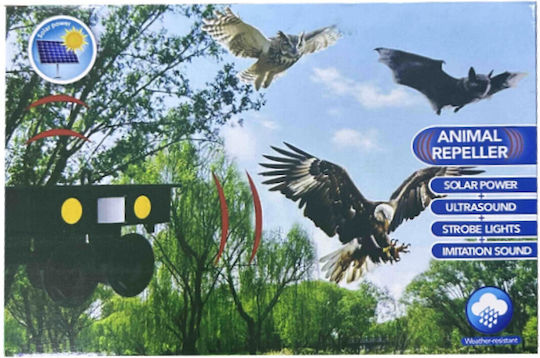 Ultraschallabwehrgerät Nagetiere / Katzen / Vögel Solar 0.135x0.125m