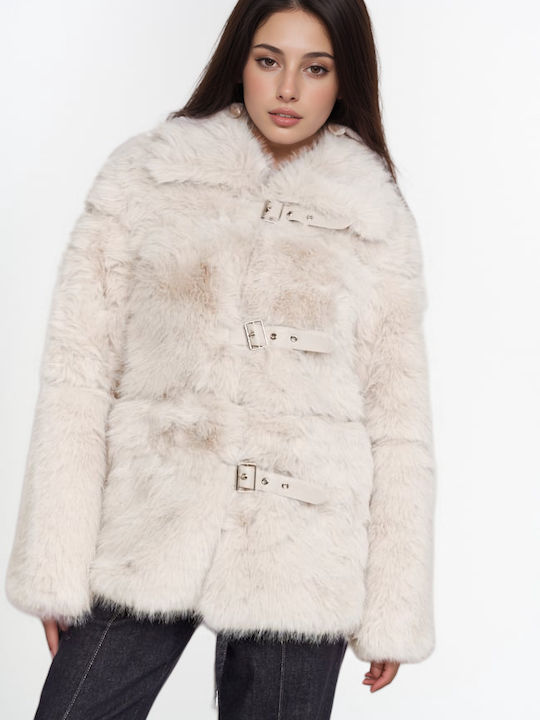 New Collection