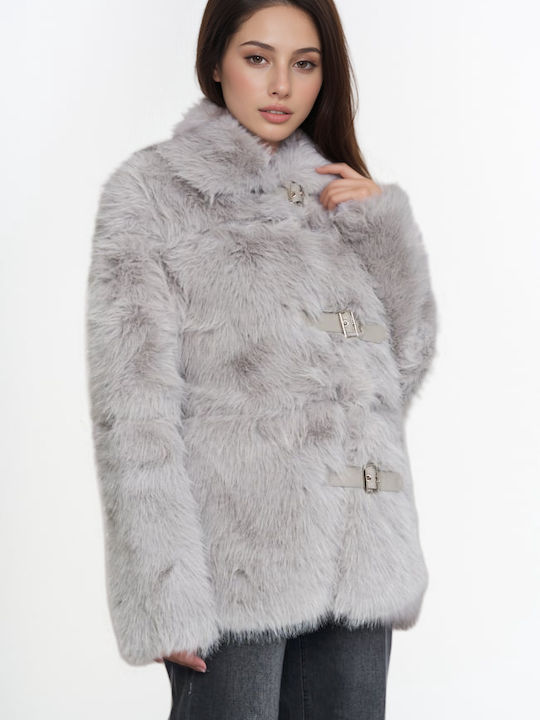 New Collection