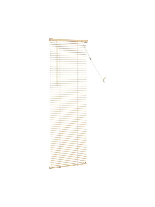 vidaXL PVC Blinds in Brown Colour P50xH150cm