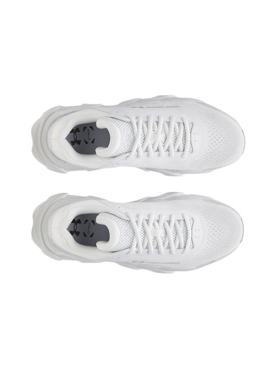 Halo Runner Sport Shoes Running White