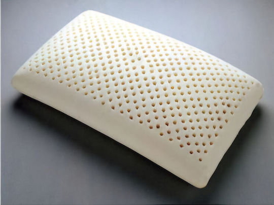 Platinum Memory Foam Ανατομικό 50x70x12cm Platinum Memory Foam Ανατομικό 50x70x12cm