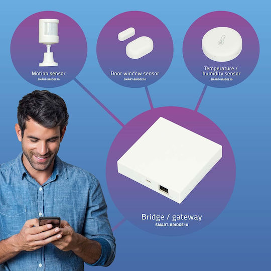 Alecto Intelligenter Schalter ZigBee